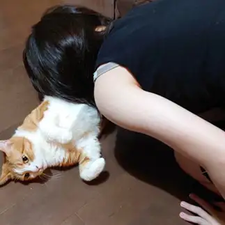 嫌そうすぎるネコ　　かきもつさん