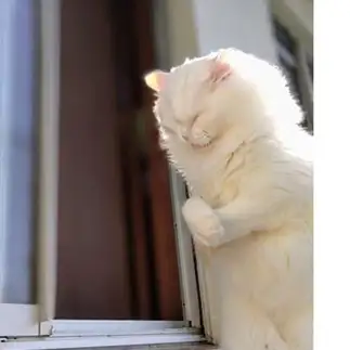 安心しないでください中身は宇宙人ですよすぎるネコ　　猫山油猫丸さん