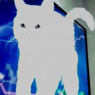 何気に撮ったら宇宙人すぎるネコ　　猫山油猫丸さん