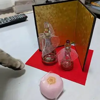 コソドロすぎるネコ　　オカンちゃんさん