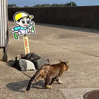 慎重なれどタマは飛び出しすぎるネコ　　ぴよえもんさん