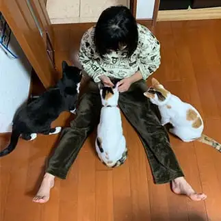 立ち位置が完璧すぎるネコ　　ぼんママさん