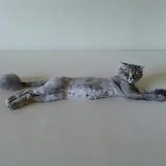 セクシーすぎるネコ　　こっこさん