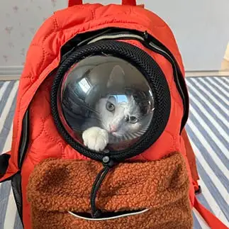 宇宙へ行って来ますすぎるネコ　　みゅうさん