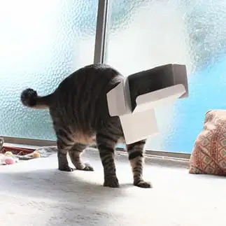 トランスフォー厶だ！　メカ生体ゾイドすぎるネコ　　猫山油猫丸さん