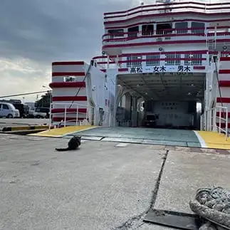 忠猫すぎるネコ　　ぴよえもんさん