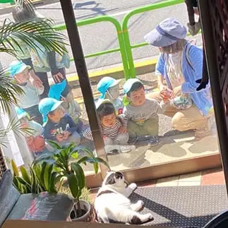 みんなお友達なかよしすぎるネコ　　ぱんだるさん