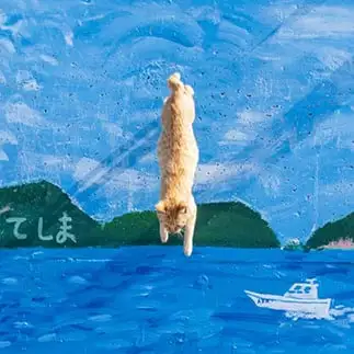 飛び込みが上手すぎるネコ　　もかさん