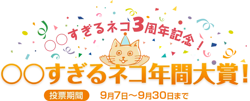 ○○すぎるネコ3周年記念！○○すぎるネコ年間大賞!