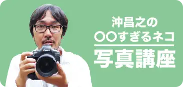 沖昌之の〇〇すぎるネコ写真講座