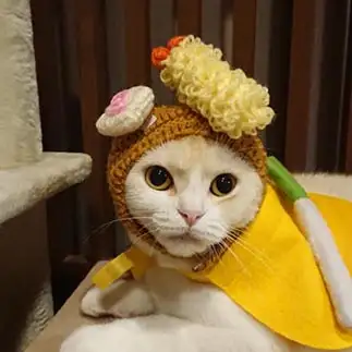 天ぷら蕎麦が似合いすぎるネコ　　あるとははさん