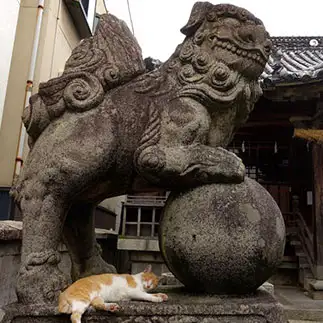 狛犬を意識しすぎるネコ　　ネコネコハンターいけのさん