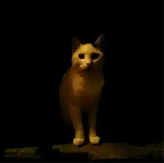 ホラー映画のポスターすぎるネコ　　チロリンさん