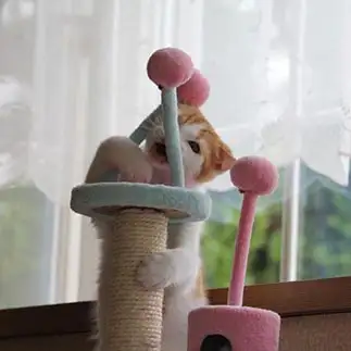 不器用すぎるネコ　　toramiさん