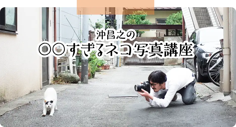沖昌之の〇〇すぎるネコ写真講座