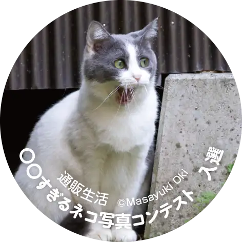 画像：入選／小型
