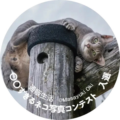 画像：入選／小型