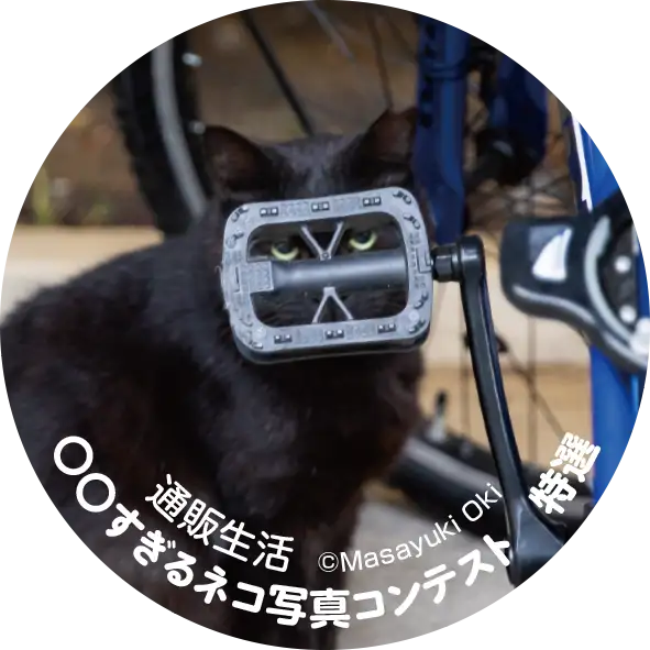 画像：特選／大型
