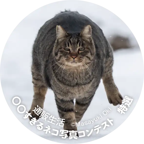 画像：特選／大型