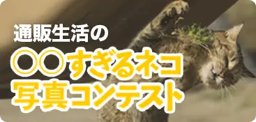 通販生活の◯◯すぎるネコ