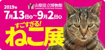 山梨県立博物館猫展