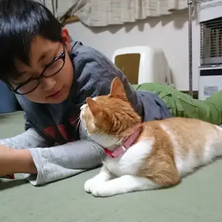 弟すぎるネコ　　まあさん