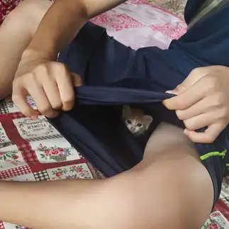ちょっと…えっちすぎるネコ　　名取裕子さん