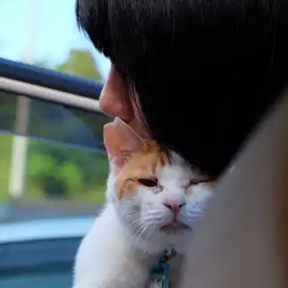 別れが切なすぎるネコ　　さっちゃんさん