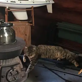 寒すぎて暖炉に近づきすぎるネコ　　みさこさん