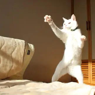 特撮ヒーローすぎるネコ　　かなかなさん