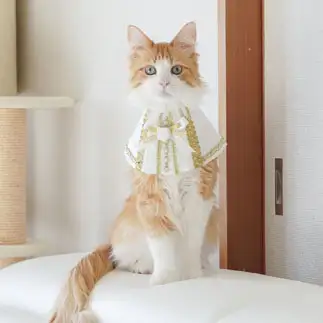 王子すぎるネコ　　オスカー様としもべ達さん