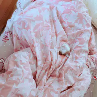 布団カバーの裂け目にハマりすぎるネコ　　西脇奈緒さん