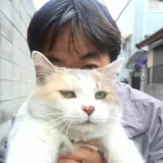 なすがまますぎるネコ　　くまごろうの嫁さん