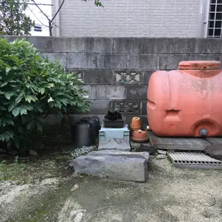 ジャストフィットすぎるネコ　　チビクロとコチビのママさん