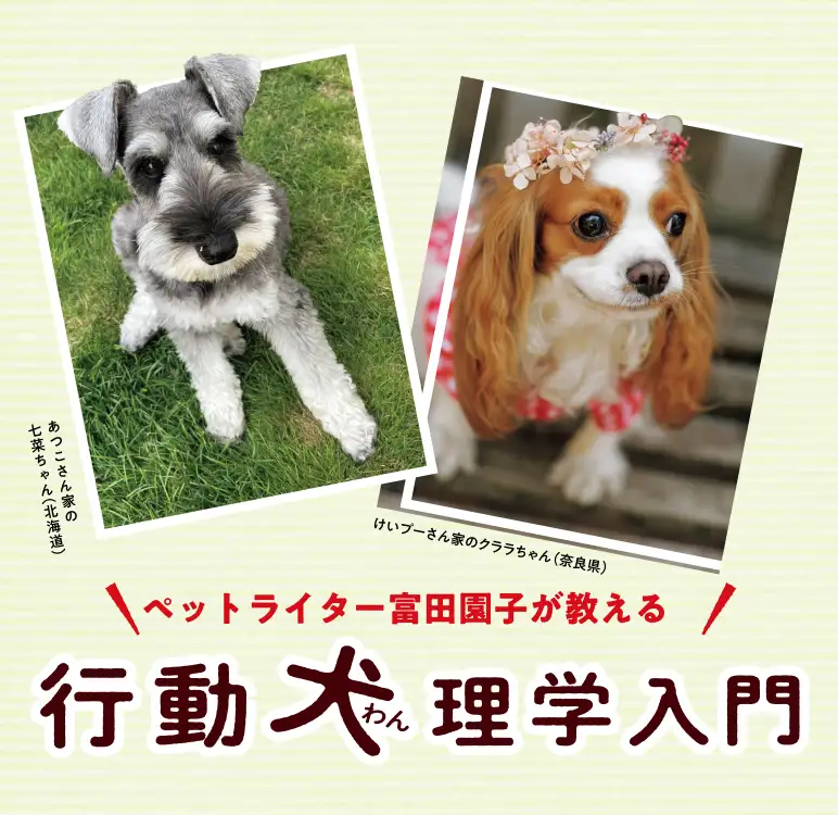 ペットライター富田園子が教える 行動犬理学入門